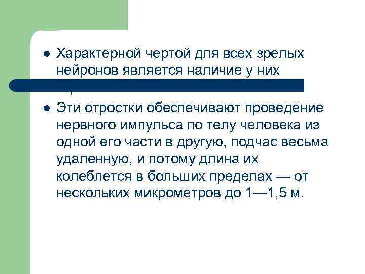 l l Характерной чертой для всех зрелых нейронов является наличие у них отростков. Эти