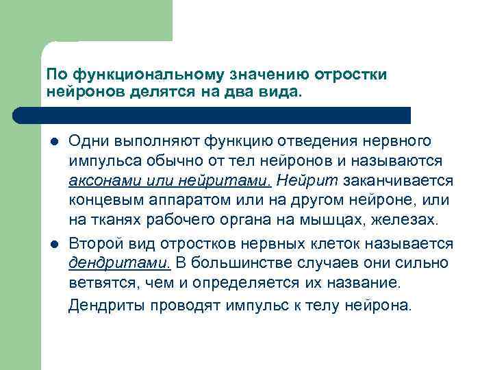 По функциональному значению отростки нейронов делятся на два вида. l l Одни выполняют функцию