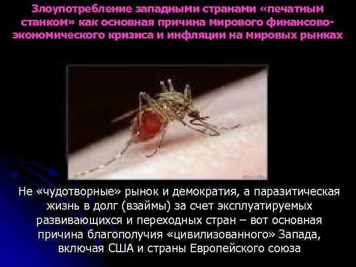 Злоупотребление западными странами «печатным станком» как основная причина мирового финансовоэкономического кризиса и инфляции на