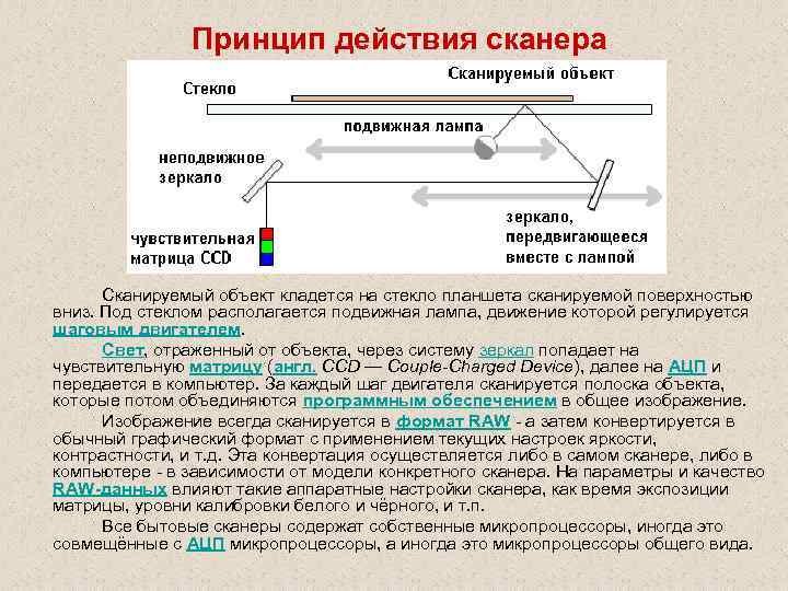 Принцип действия сканера Сканируемый объект кладется на стекло планшета сканируемой поверхностью вниз. Под стеклом