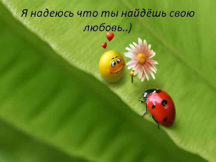 Я надеюсь что ты найдёшь свою любовь. . ) 
