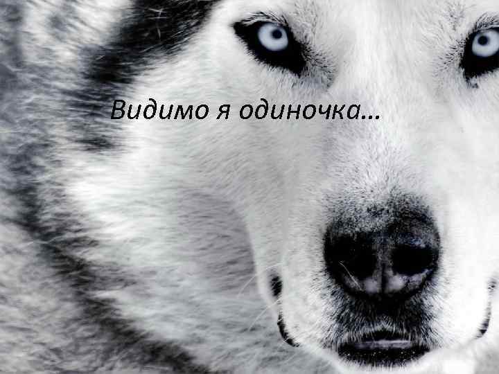 Видимо я одиночка… 