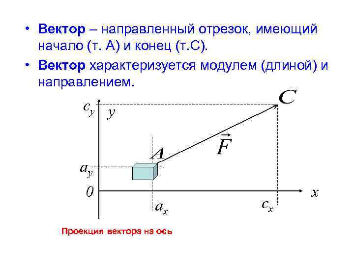  • Вектор – направленный отрезок, имеющий начало (т. A) и конец (т. С).