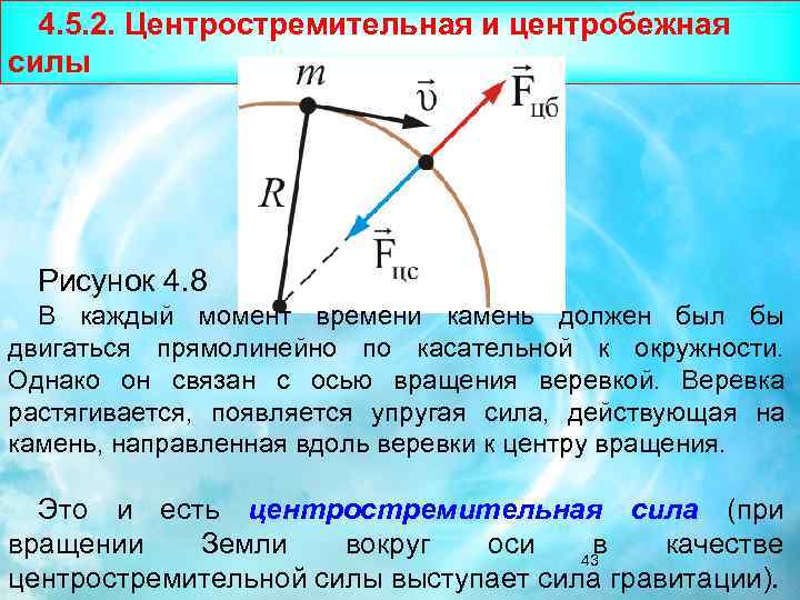 4. 5. 2. Центростремительная и центробежная силы Рисунок 4. 8 В каждый момент времени