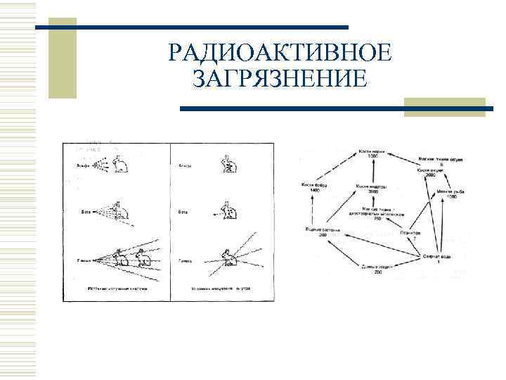 РАДИОАКТИВНОЕ ЗАГРЯЗНЕНИЕ 