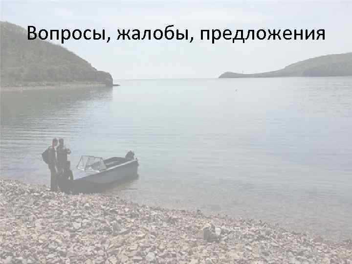 Вопросы, жалобы, предложения 