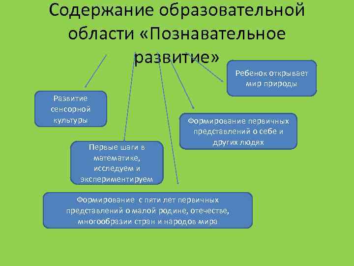 Содержание образовательной области «Познавательное развитие» Ребенок открывает мир природы Развитие сенсорной культуры Первые шаги