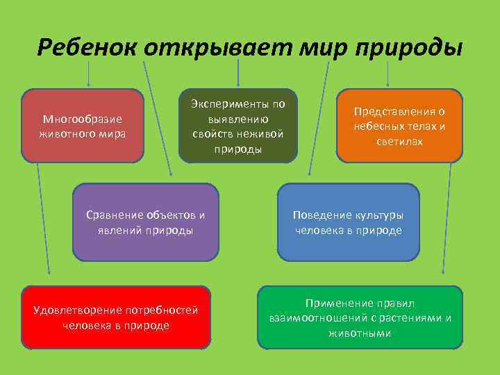 Ребенок открывает мир природы Многообразие животного мира Эксперименты по выявлению свойств неживой природы Сравнение