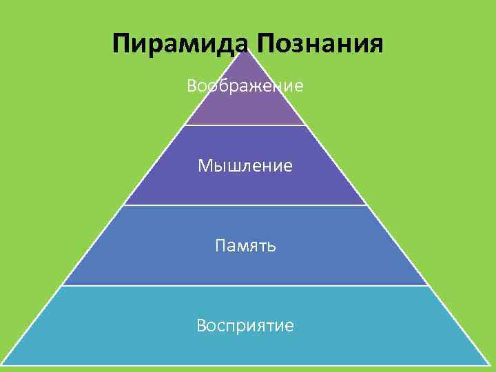 Пирамида Познания Воображение Мышление Память Восприятие 