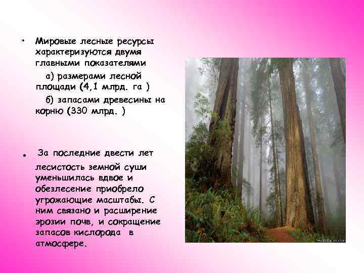  • . Мировые лесные ресурсы характеризуются двумя главными показателями а) размерами лесной площади
