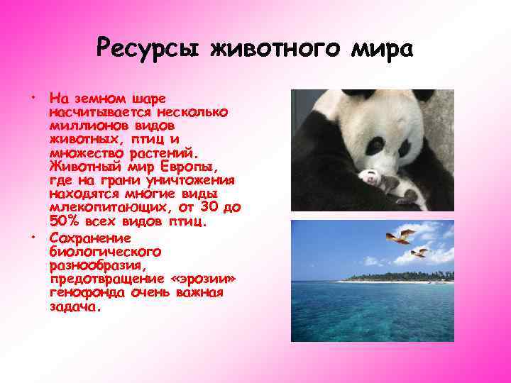 Ресурсы животного мира • На земном шаре насчитывается несколько миллионов видов животных, птиц и
