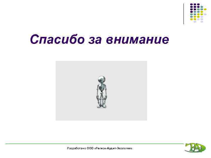 Спасибо за внимание Разработано ООО «Регион-Аудит-Экология» 