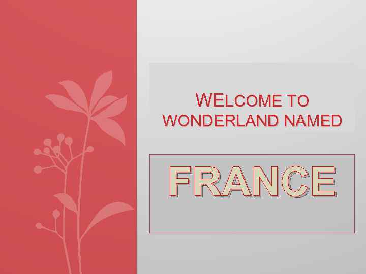 WELCOME TO WONDERLAND NAMED FRANCE 