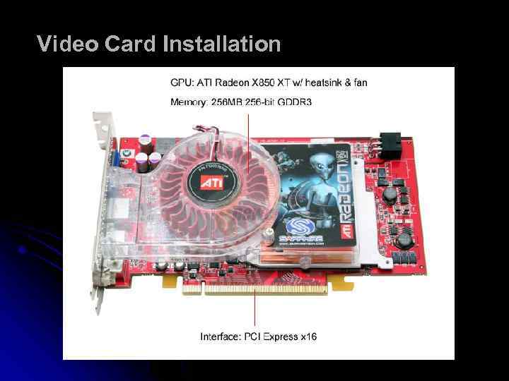 Video Card Installation 