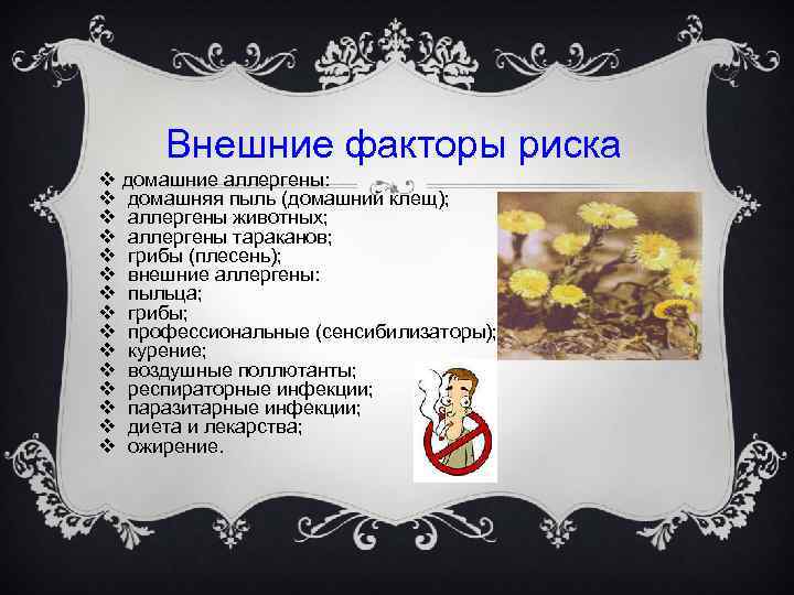 Внешние факторы риска v домашние аллергены: v домашняя пыль (домашний клещ); v аллергены животных;