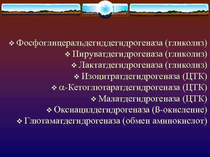 v Фосфоглицеральдегидрогеназа (гликолиз) v Пируватдегидрогеназа (гликолиз) v Лактатдегидрогеназа (гликолиз) v Изоцитратдегидрогеназа (ЦТК) v -Кетоглютаратдегидрогеназа