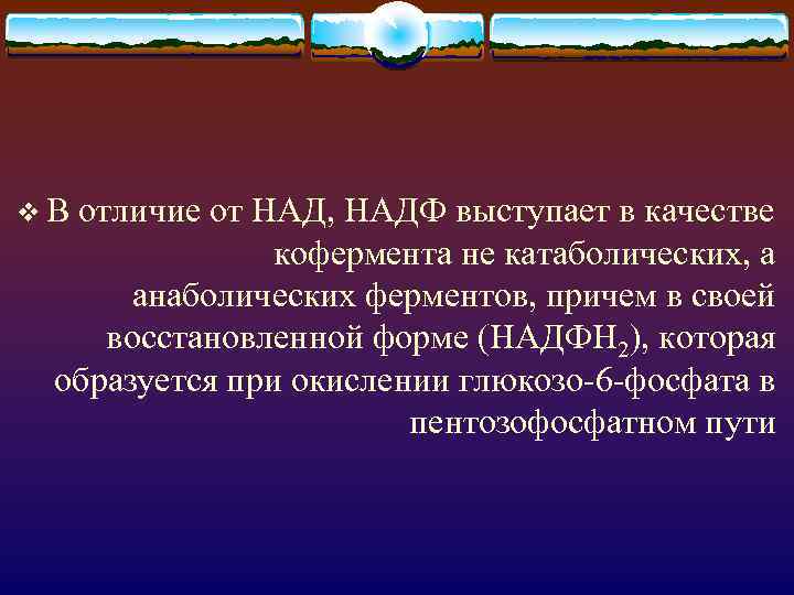 v. В отличие от НАД, НАДФ выступает в качестве кофермента не катаболических, а анаболических