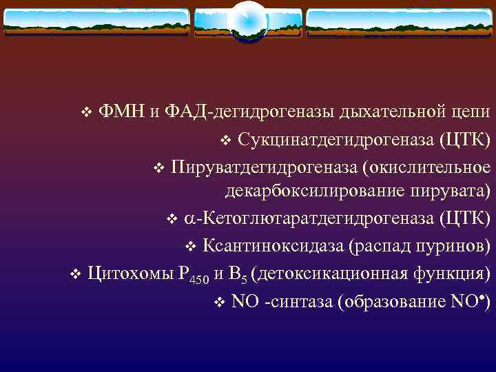 ФМН и ФАД-дегидрогеназы дыхательной цепи v Сукцинатдегидрогеназа (ЦТК) v Пируватдегидрогеназа (окислительное декарбоксилирование пирувата) v