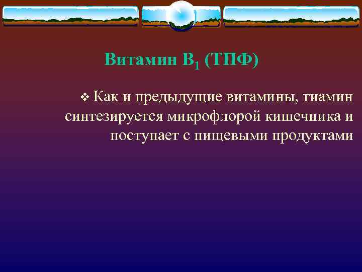 Витамин В 1 (ТПФ) v Как и предыдущие витамины, тиамин синтезируется микрофлорой кишечника и