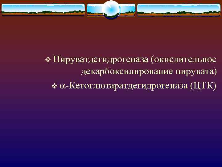 v Пируватдегидрогеназа (окислительное декарбоксилирование пирувата) v -Кетоглютаратдегидрогеназа (ЦТК) 