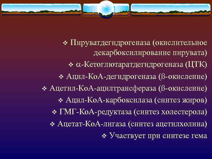 Пируватдегидрогеназа (окислительное декарбоксилирование пирувата) v -Кетоглютаратдегидрогеназа (ЦТК) v Ацил-Ко. А-дегидрогеназа (ß-окисление) v Ацетил-Ко. А-ацилтрансфераза