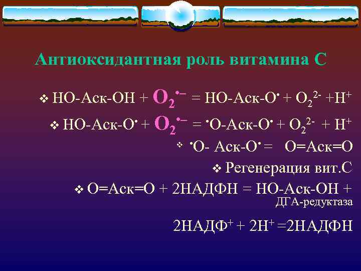 Антиоксидантная роль витамина С v НО-Аск-ОН + O 2 • – = HO-Аск-O •