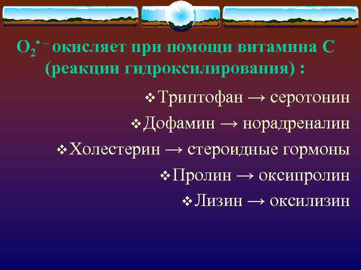 О 2 • – окисляет при помощи витамина С (реакции гидроксилирования) : v Триптофан