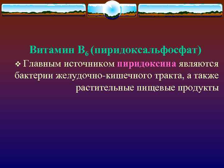 Витамин В 6 (пиридоксальфосфат) v Главным источником пиридоксина являются бактерии желудочно-кишечного тракта, а также