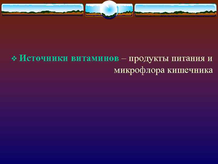 v Источники витаминов – продукты питания и микрофлора кишечника 