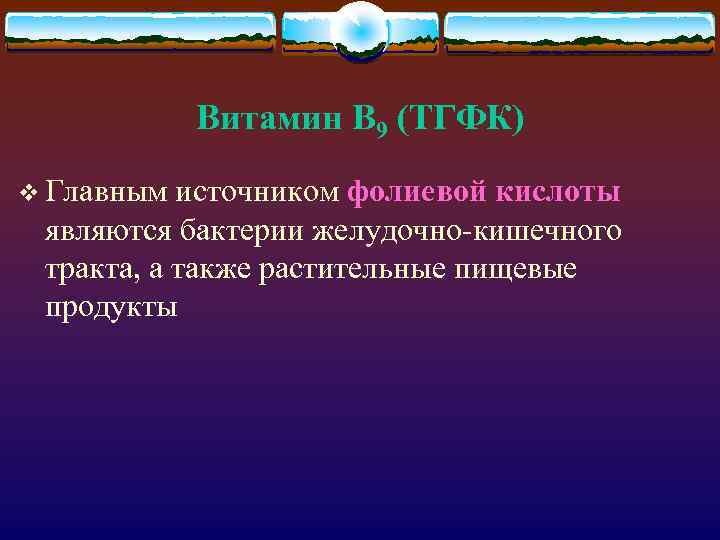 Витамин В 9 (ТГФК) v Главным источником фолиевой кислоты являются бактерии желудочно-кишечного тракта, а