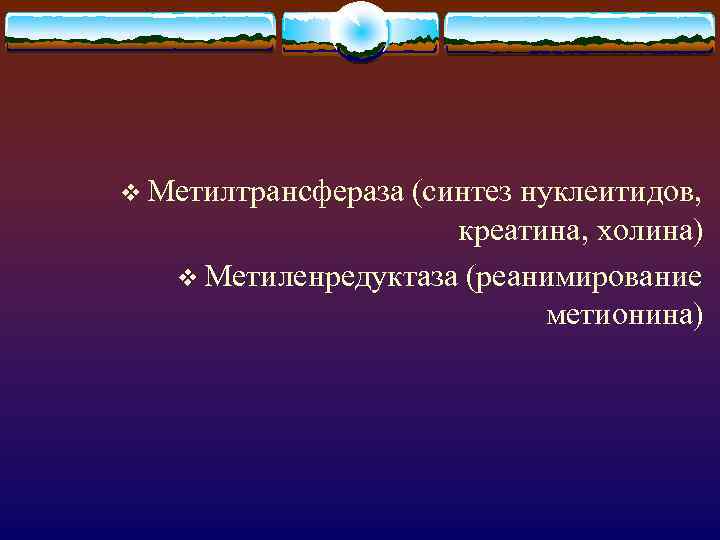 v Метилтрансфераза (синтез нуклеитидов, креатина, холина) v Метиленредуктаза (реанимирование метионина) 