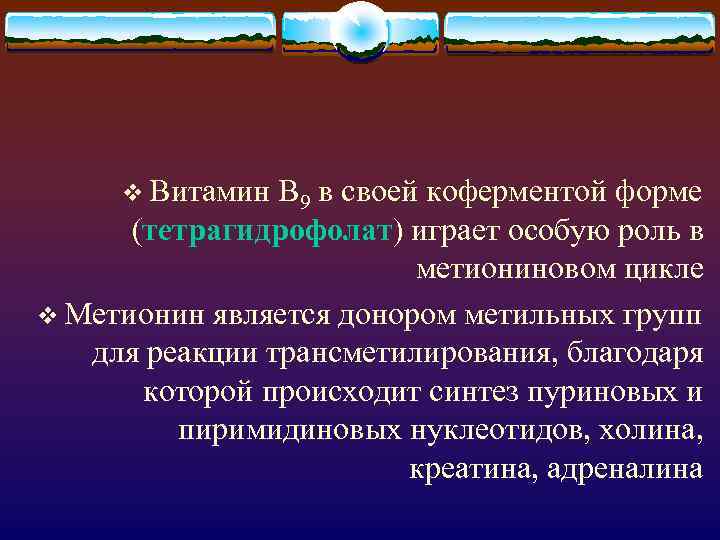 v Витамин В 9 в своей коферментой форме (тетрагидрофолат) играет особую роль в метиониновом