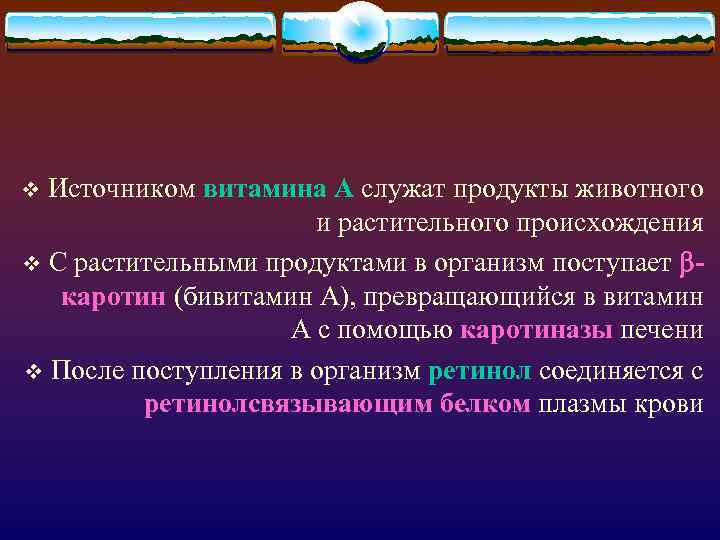 Источником витамина А служат продукты животного и растительного происхождения v С растительными продуктами в