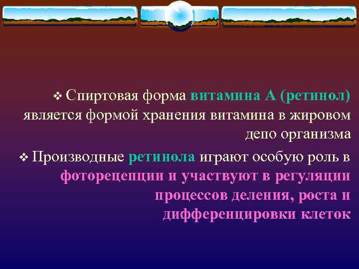 v Спиртовая форма витамина A (ретинол) является формой хранения витамина в жировом депо организма