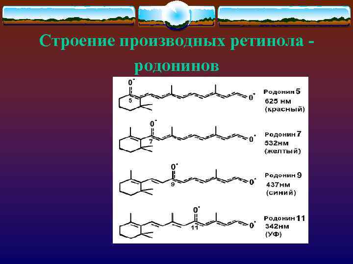 Строение производных ретинола родонинов 