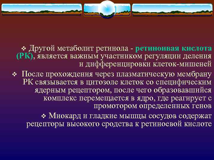 Другой метаболит ретинола - ретиноивая кислота (РК), является важным участником регуляции деления и дифференцировки