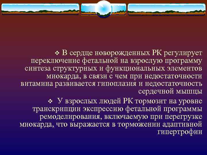 В сердце новорожденных РК регулирует переключение фетальной на взрослую программу синтеза структурных и функциональных