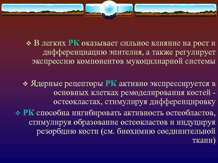 v В легких РК оказывает сильное влияние на рост и дифференциацию эпителия, а также