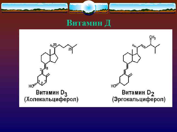 Витамин Д 