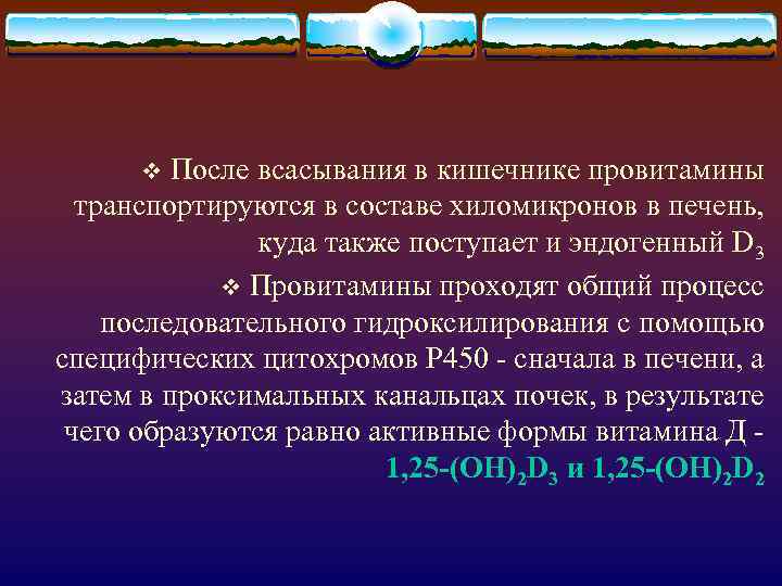 После всасывания в кишечнике провитамины транспортируются в составе хиломикронов в печень, куда также поступает