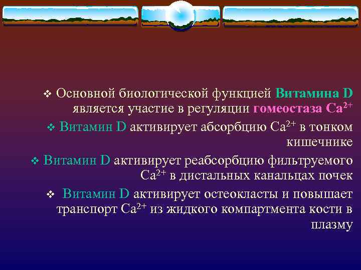 Основной биологической функцией Витамина D является участие в регуляции гомеостаза Са 2+ v Витамин