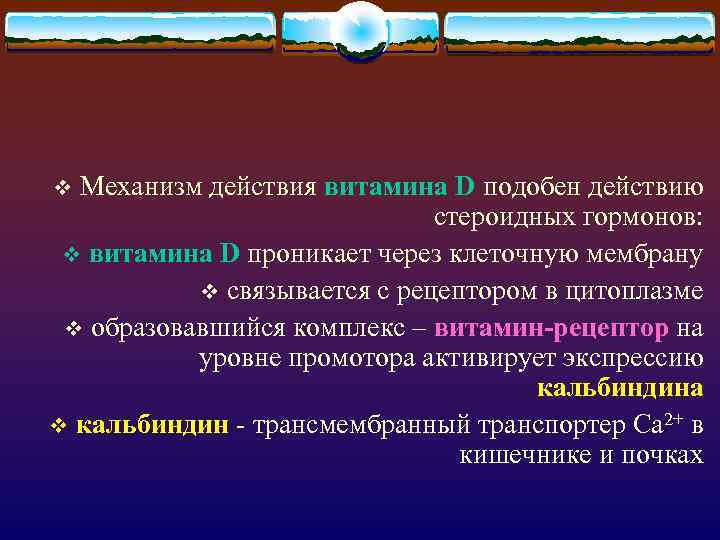 Механизм действия витамина D подобен действию стероидных гормонов: v витамина D проникает через клеточную