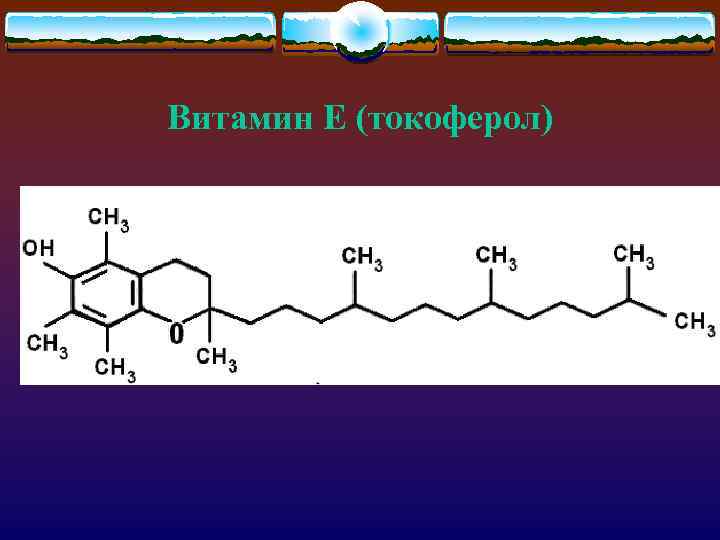 Витамин Е (токоферол) 