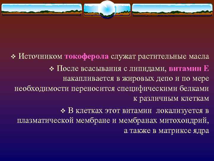 Источником токоферола служат растительные масла v После всасывания с липидами, витамин Е накапливается в