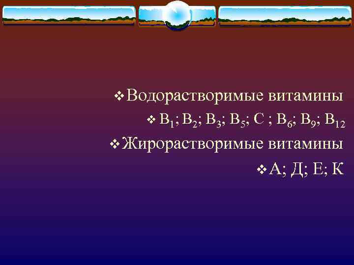 v Водорастворимые v В 1; В 2; витамины В 3; В 5; С ;