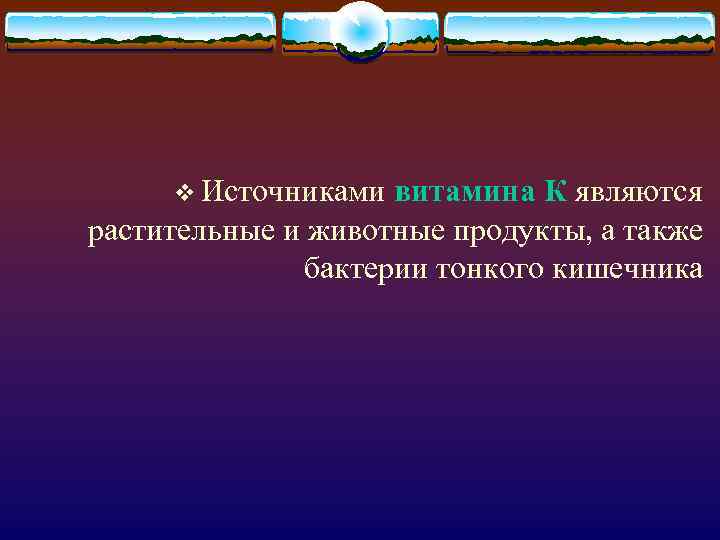 v Источниками витамина К являются растительные и животные продукты, а также бактерии тонкого кишечника