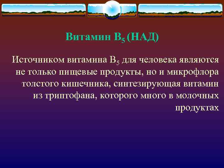 Витамин В 5 (НАД) Источником витамина В 5 для человека являются не только пищевые