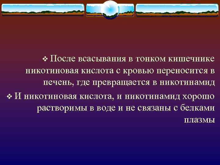 v После всасывания в тонком кишечнике никотиновая кислота с кровью переносится в печень, где