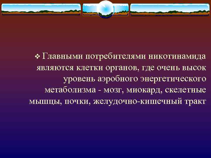 v Главными потребителями никотинамида являются клетки органов, где очень высок уровень аэробного энергетического метаболизма