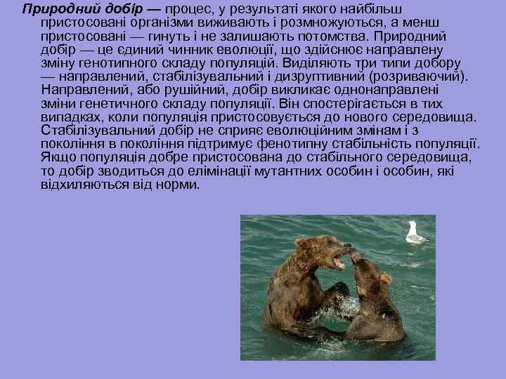 Природний добір — процес, у результаті якого найбільш пристосовані організми виживають і розмножуються, а